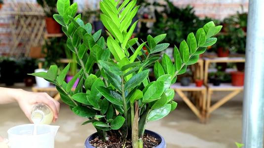 九民纪要后首个信托刚兑被法院判无效