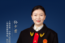 民间借贷纠纷案件中夫妻共同债务的司法审查要点